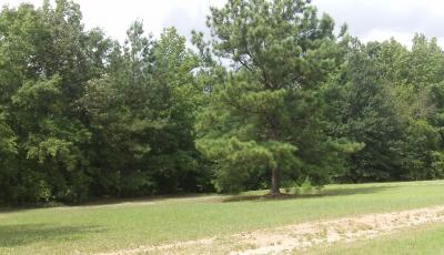 Hurdle Land for Sale in Henry County, Georgia