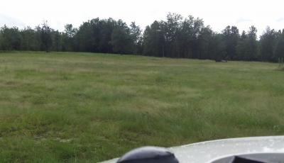 Hurdle Land for Sale in Blount County, Alabama