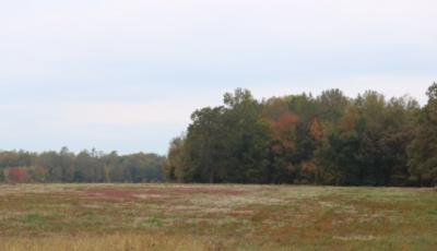 Hurdle Land for Sale in Coffee County, Tennessee