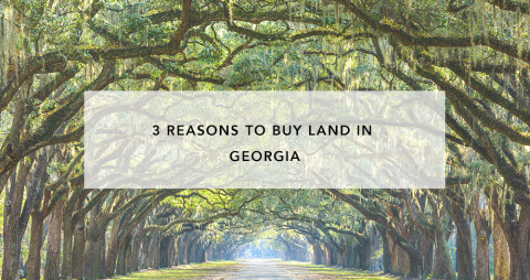 3 Reasons to Buy in Georgia